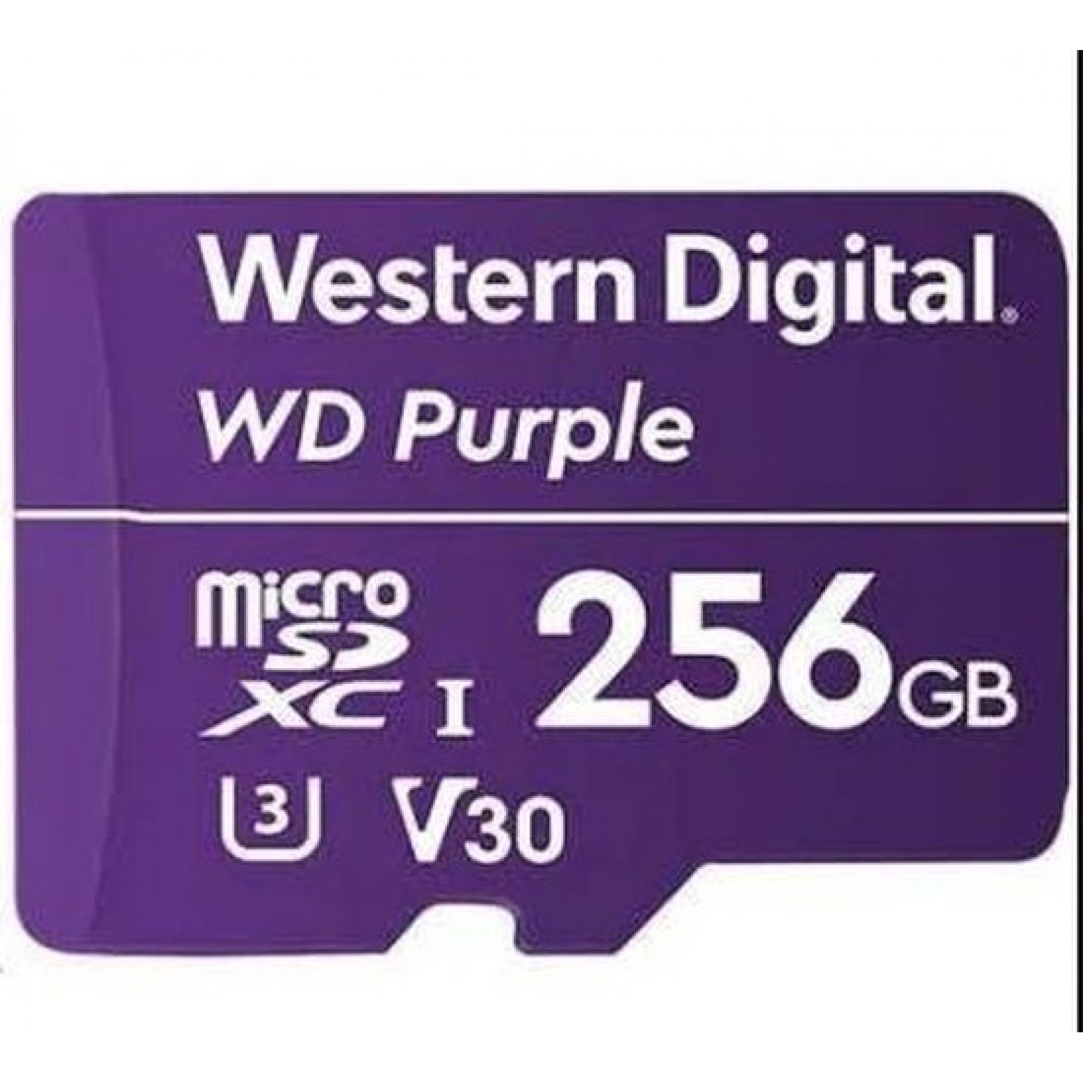 Scheda Micro SD Western Digital Purple 256Gb