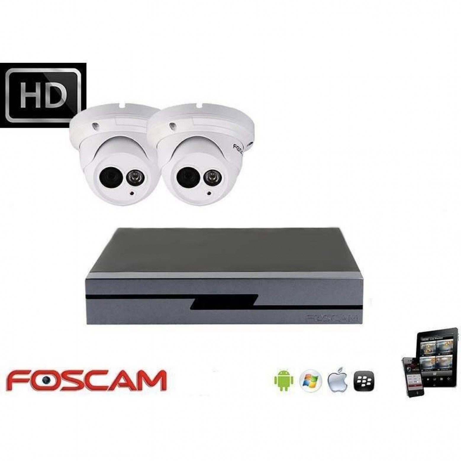 Foscam IP camerabewaking set 2x dome