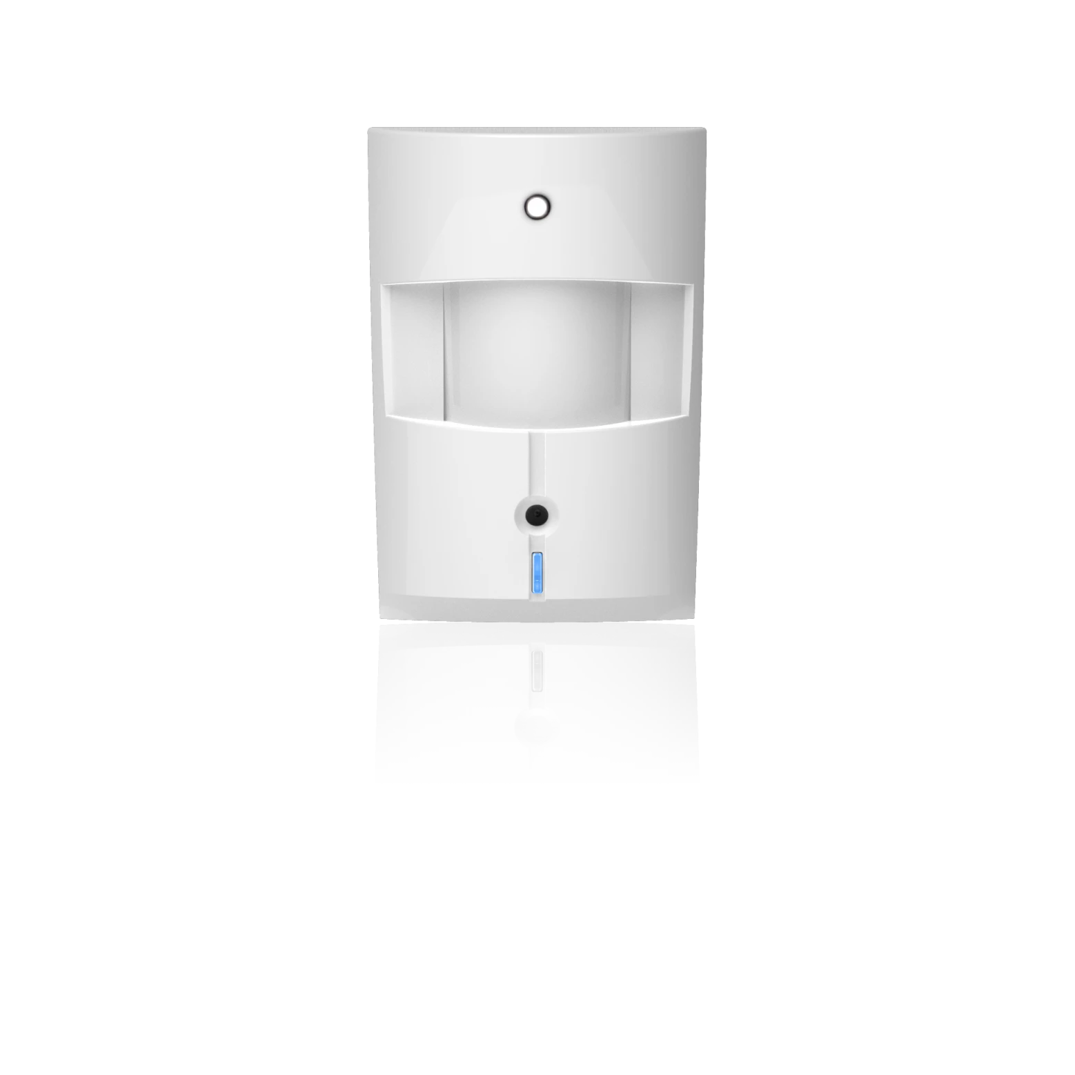 Blaupunkt IRC-S2 Bewegingsmelder Met Fotocamera